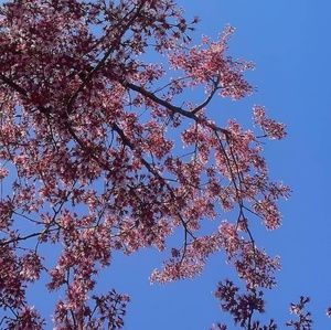 Meet your Posher, Dayra